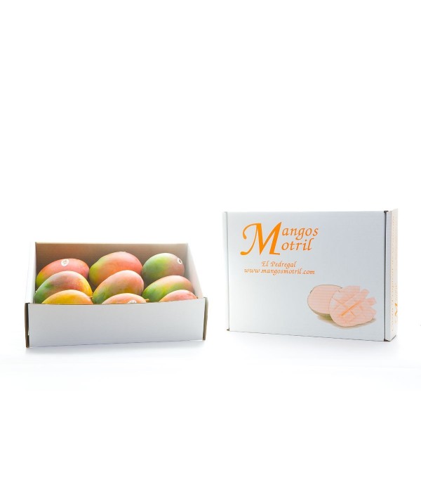 2 CAJAS DE MANGOS DE 4,5 kgEn Mangos Motril cultivamos con pasión y tradición los mejores mangos de la Costa Tropical de Gran...