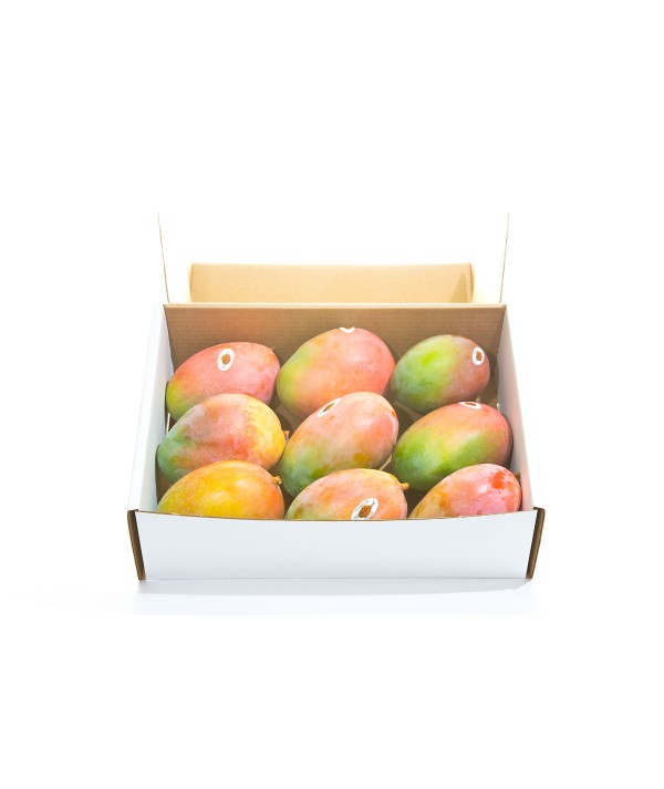 1 CAJA DE MANGOS DE 4,5 kgEn Mangos Motril cultivamos con pasión y tradición los mejores mangos de la Costa Tropical de Grana...