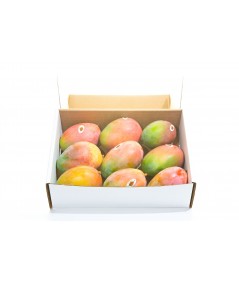 1 CAJA DE MANGOS DE 4,5 kgEn Mangos Motril cultivamos con pasión y tradición los mejores mangos de la Costa Tropical de Grana...